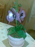 /album/ine/a20101118-002-jpg/